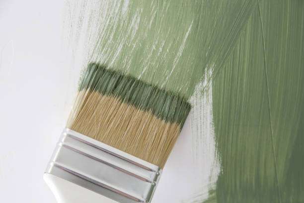 Best Black Mold Removal  in Pensacola, FL