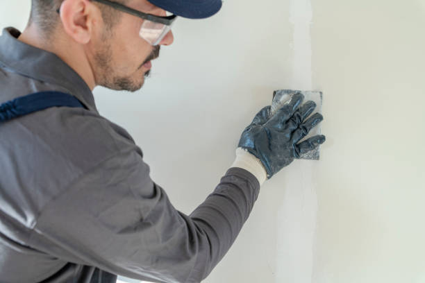 Professional Mold Removal in Pensacola, FL