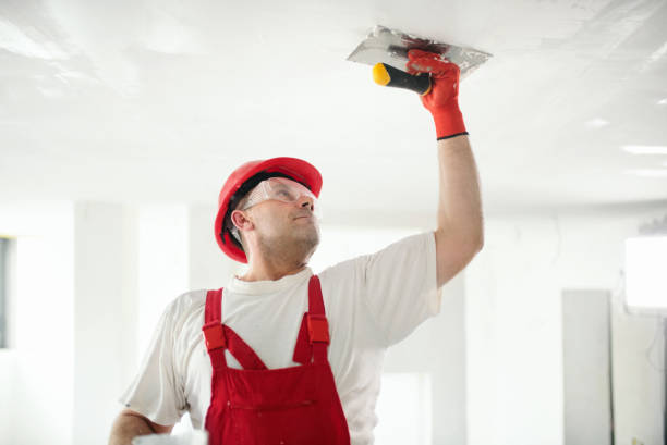 Best Post-Construction Mold Inspection  in Pensacola, FL