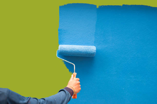 Mold Odor Removal Services in Pensacola, FL